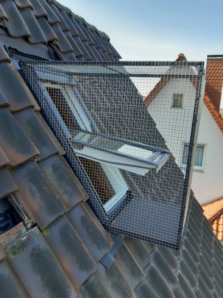 Dachfenstersicherung